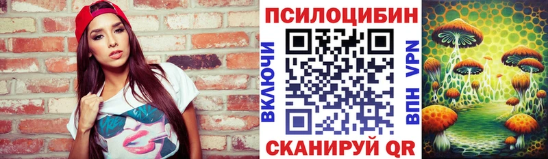 Псилоцибиновые грибы Psilocybe  хочу наркоту  Ивантеевка 